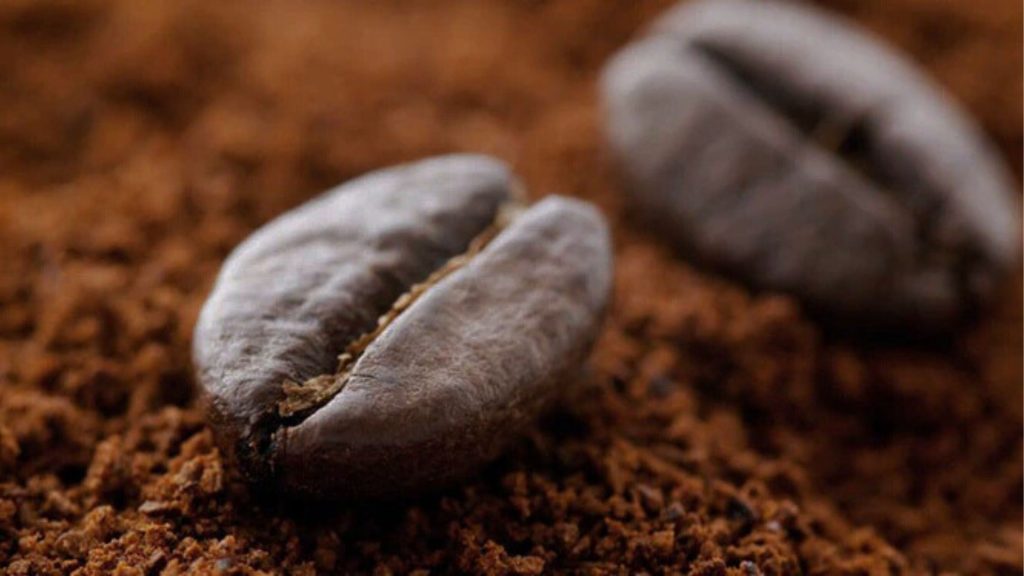 Apa Itu Houseblend