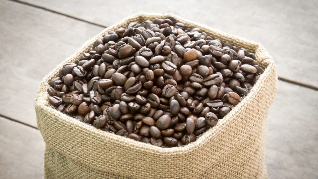 Kopi Robusta