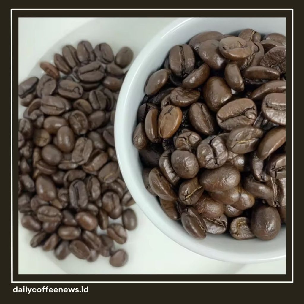 Kopi Robusta