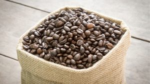Kopi Robusta