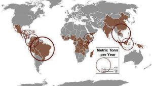 Negara Penghasil Kopi Terbesar