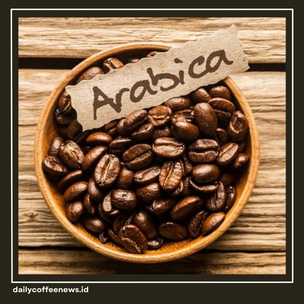 Perbedaan Kopi Robusta dan Arabika