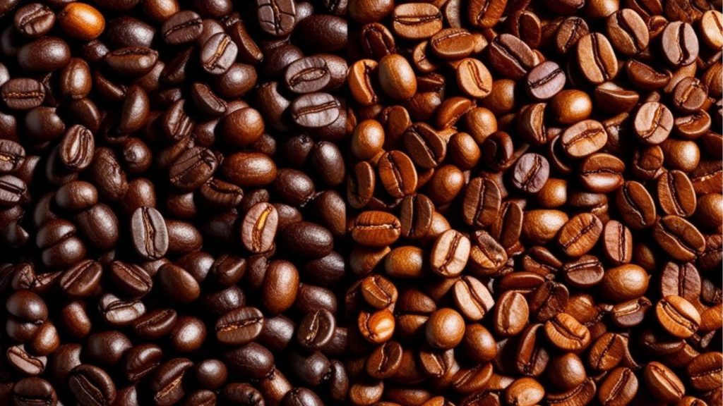 Perbedaan Kopi Robusta dan Arabika