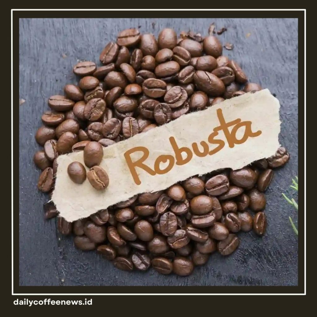 Perbedaan Kopi Robusta dan Arabika