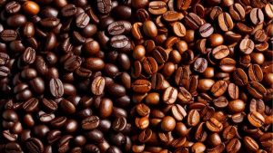 Perbedaan Kopi Robusta dan Arabika