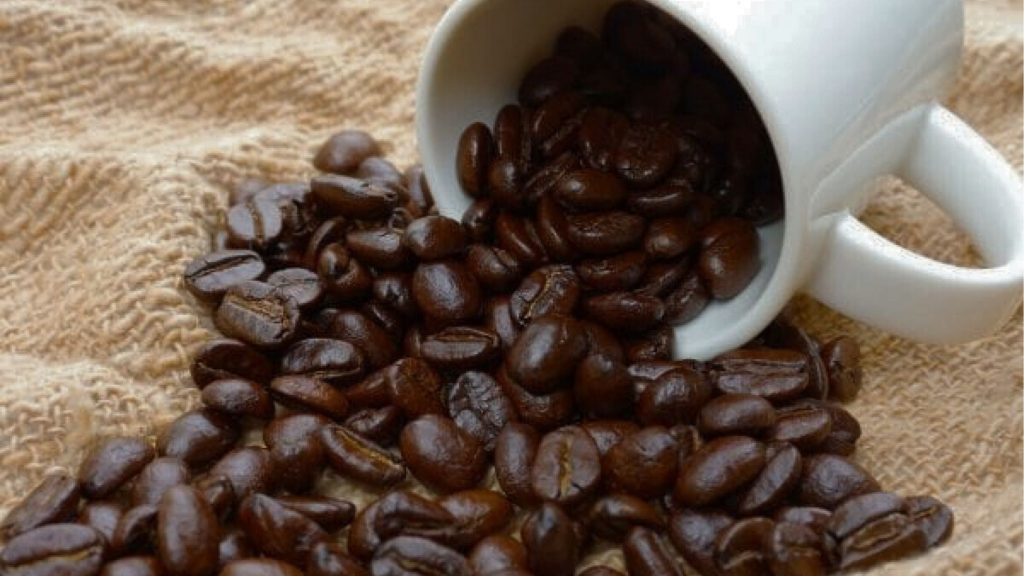kopi arabika