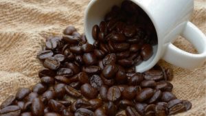 kopi arabika
