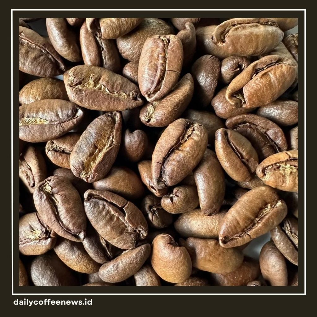 kopi liberika