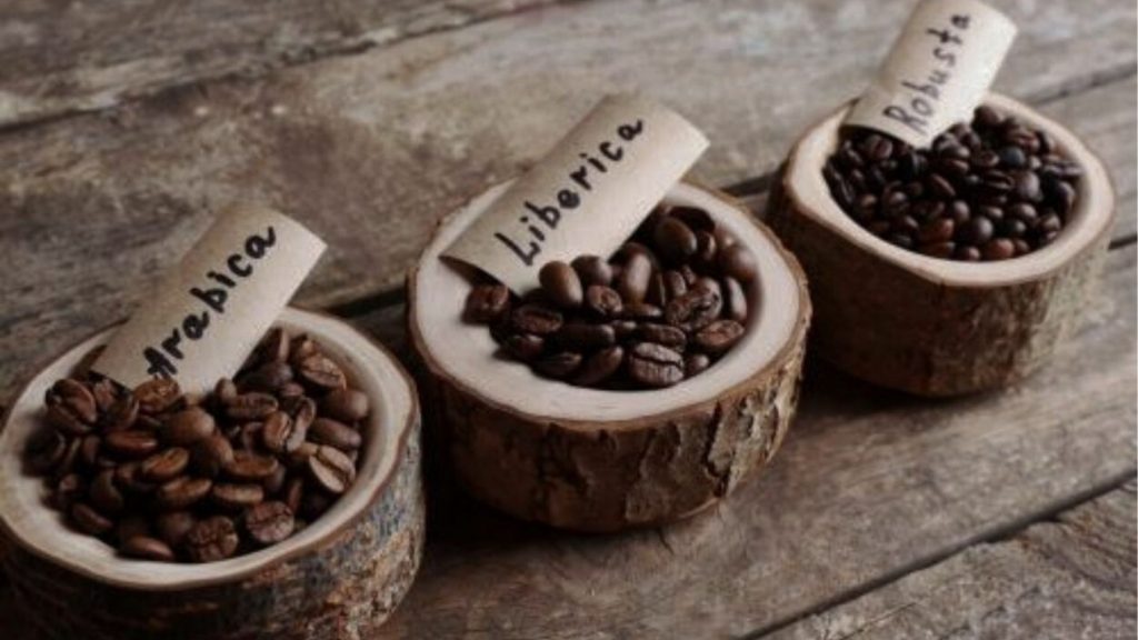 kopi liberika
