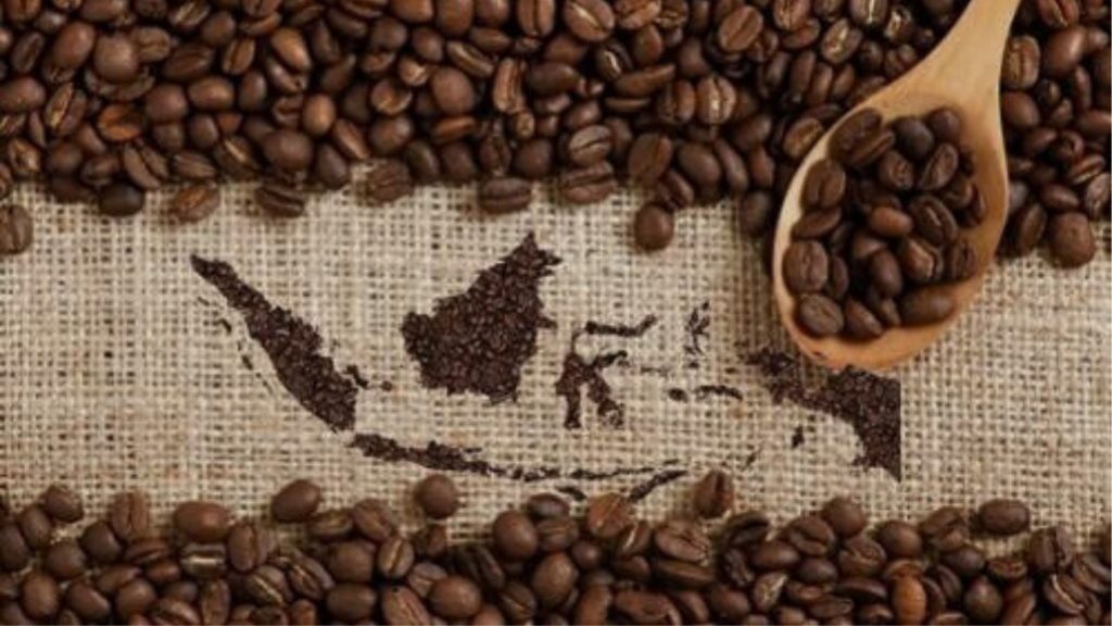 Penghasil Kopi Terbesar di Dunia