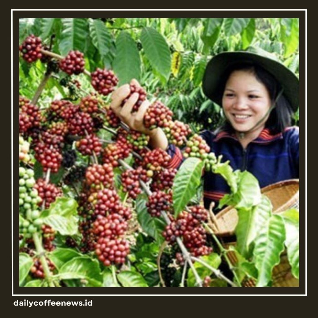 Penghasil Kopi Terbesar di Dunia