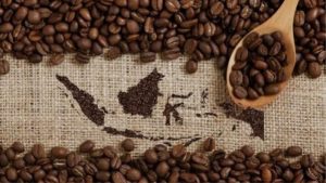 Penghasil Kopi Terbesar di Dunia
