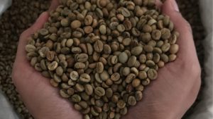 Kopi Flores