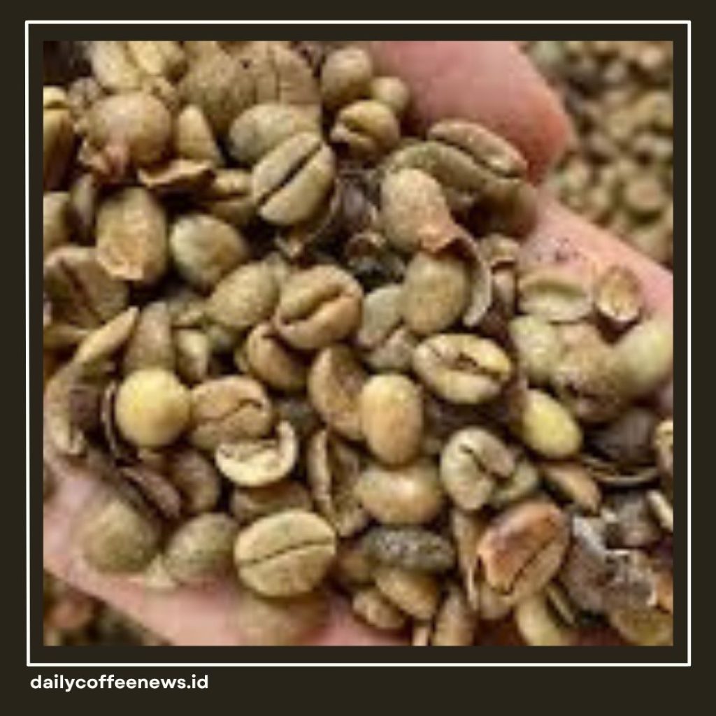jenis kopi