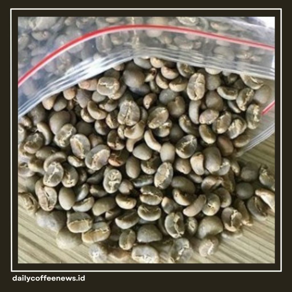 Apa Itu Kopi Specialty