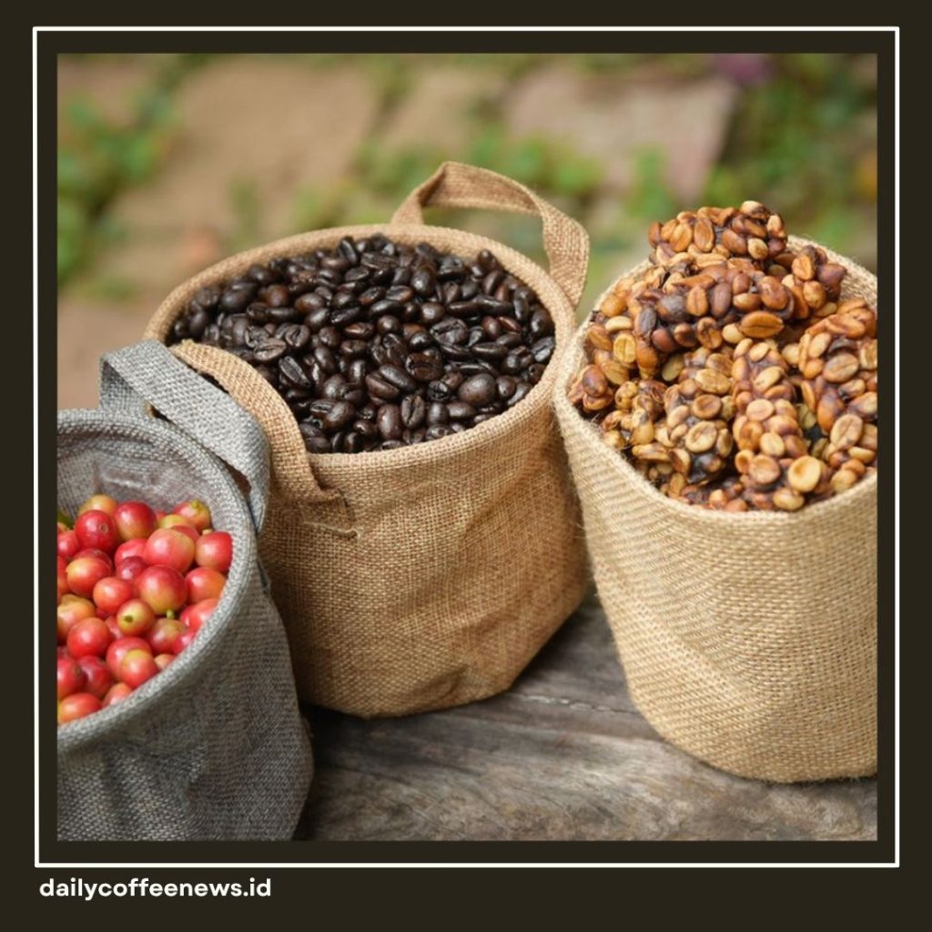 Cara Tanam Kopi di Rumah
