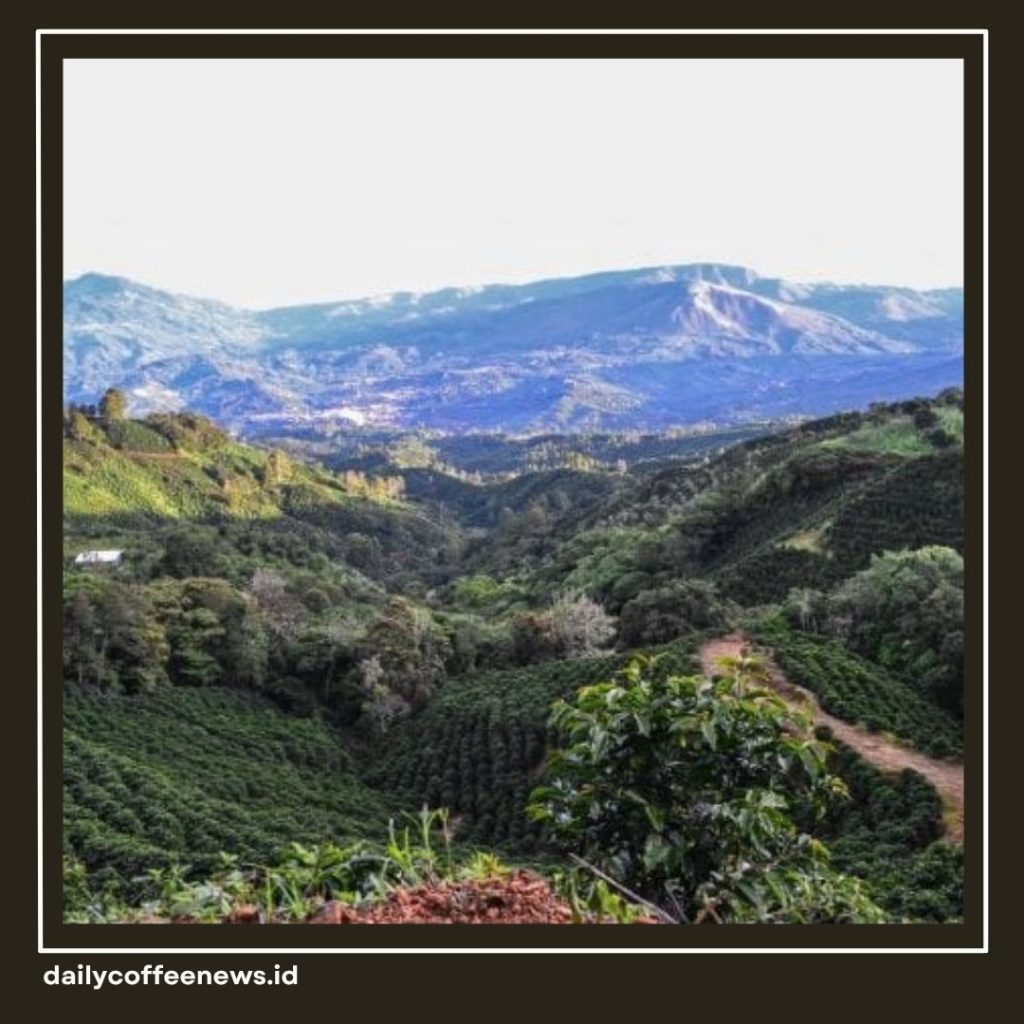 Terroir dalam Kopi