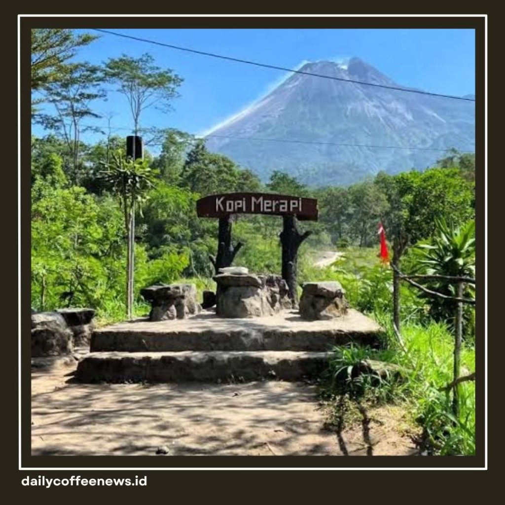 kopi merapi