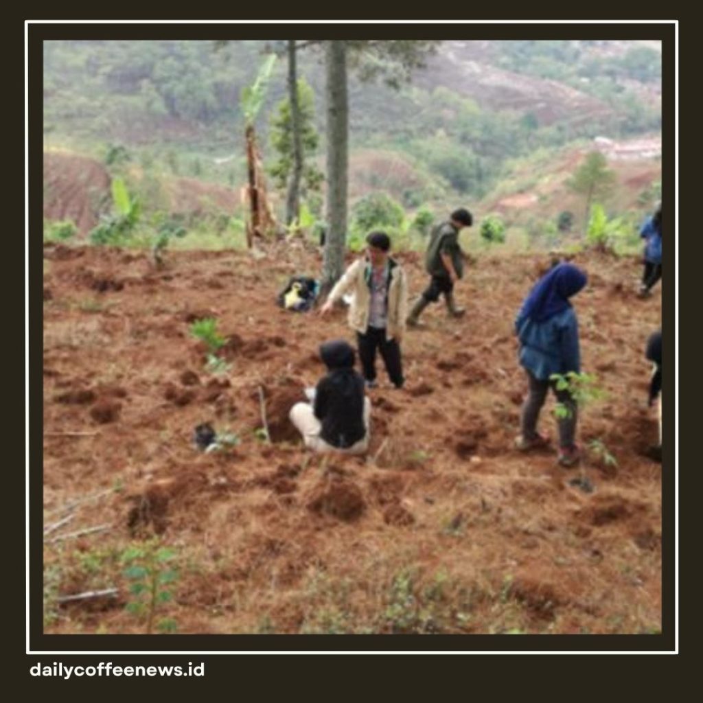 kenapa kopi harganya mahal