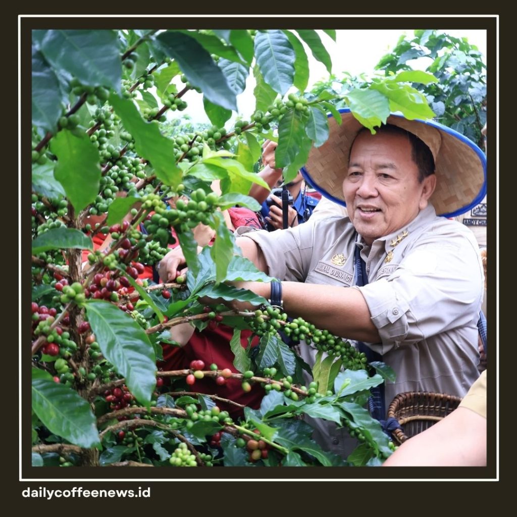 kenapa kopi harganya mahal